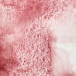 Potters Pink